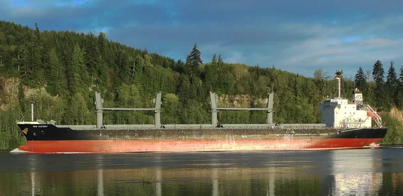 NEW HISTORY Bulk Carrier IMO 9610248 photo 3