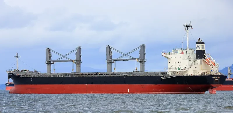 NEW HISTORY Bulk Carrier IMO 9610248 photo 4