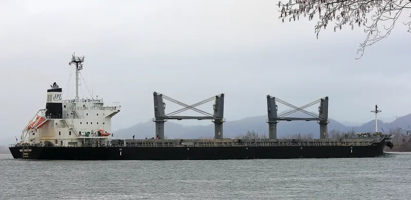 NEW HISTORY Bulk Carrier IMO 9610248 photo 5