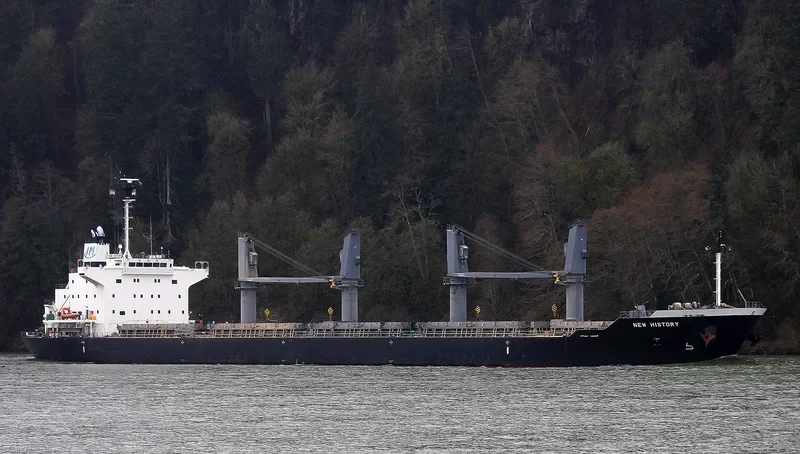 NEW HISTORY Bulk Carrier IMO 9610248 photo 6