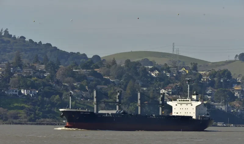 NEW HISTORY Bulk Carrier IMO 9610248 photo 8