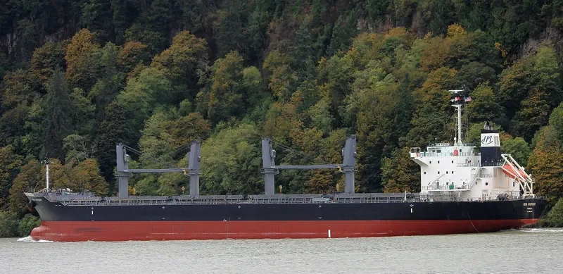 NEW HISTORY Bulk Carrier IMO 9610248 photo 9