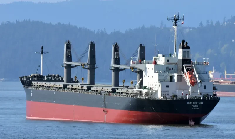NEW HISTORY Bulk Carrier IMO 9610248 photo 10
