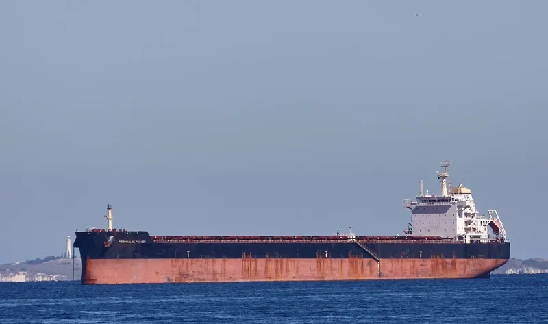 FLYING TIGER Bulk Carrier IMO 9610286