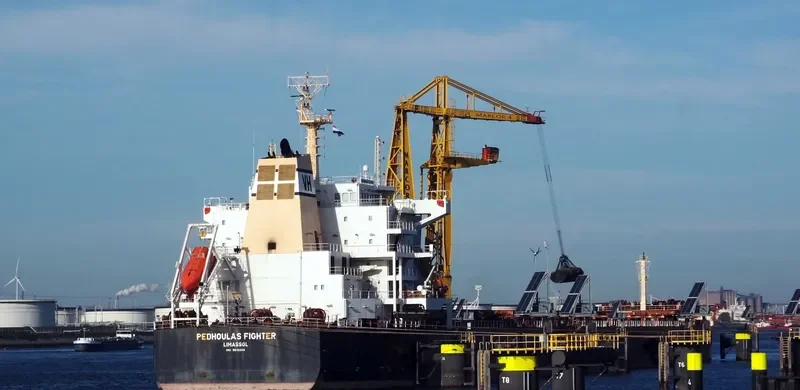 FLYING TIGER Bulk Carrier IMO 9610286 photo 5