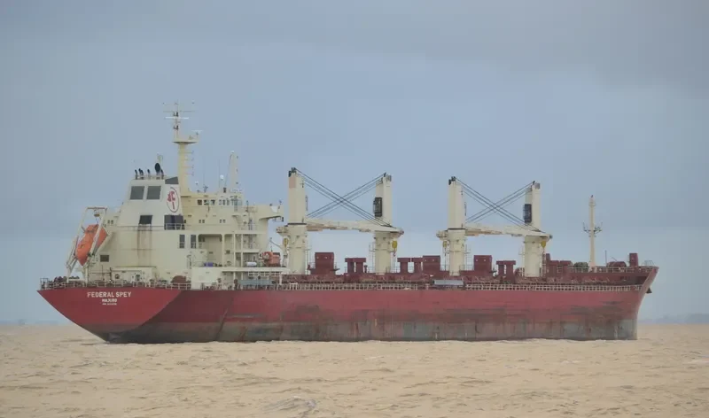 FEDERAL SPEY Bulk Carrier IMO 9610456 photo 3