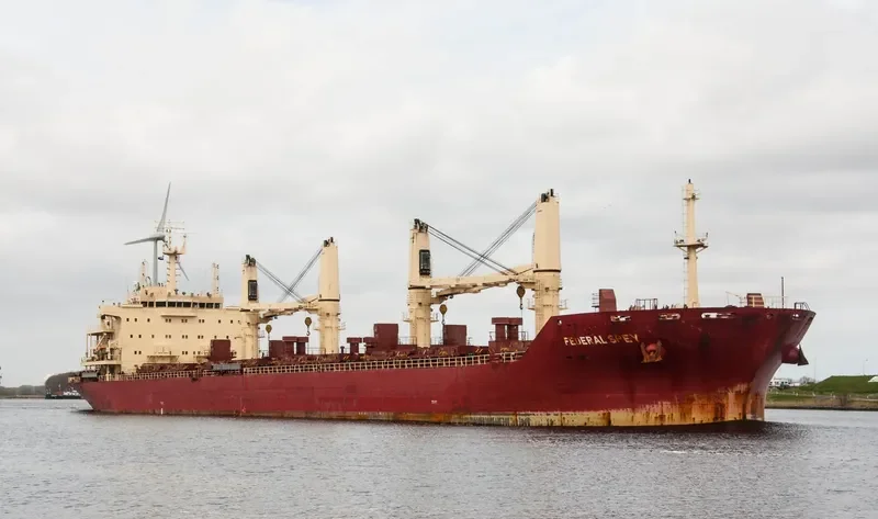 FEDERAL SPEY Bulk Carrier IMO 9610456 photo 6