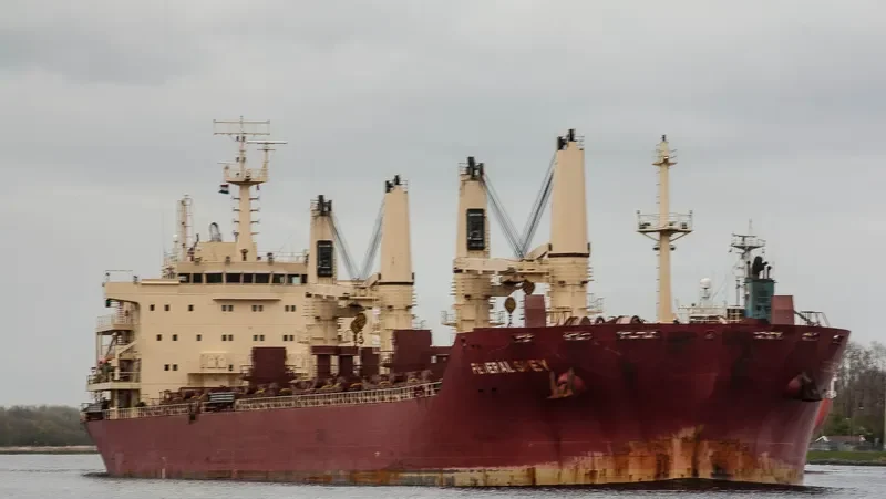 FEDERAL SPEY Bulk Carrier IMO 9610456 photo 7