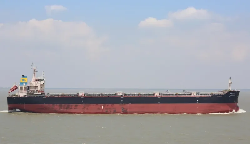 ZHONG CHANG 228 Bulk Carrier IMO 9610470 photo 2