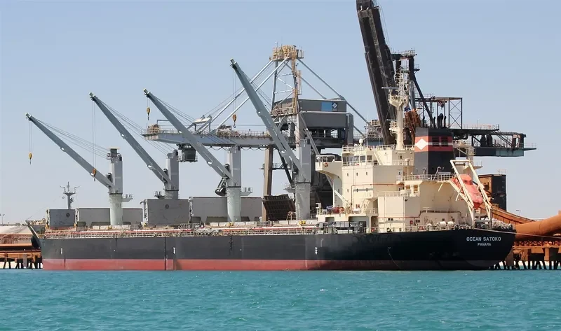 OCEAN SATOKO Bulk Carrier IMO 9610638