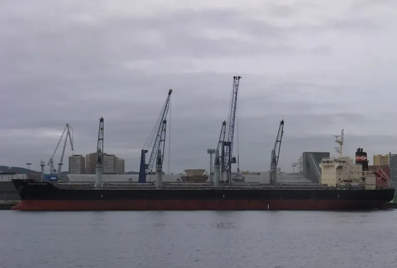 OCEAN SATOKO Bulk Carrier IMO 9610638 photo 3
