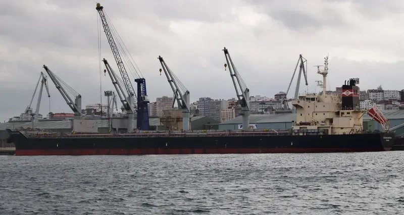 OCEAN SATOKO Bulk Carrier IMO 9610638 photo 4