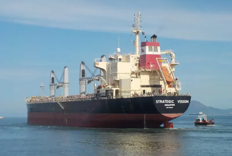 STRATEGIC VISION Bulk Carrier IMO 9610640