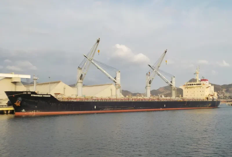 STRATEGIC VISION Bulk Carrier IMO 9610640 photo 2