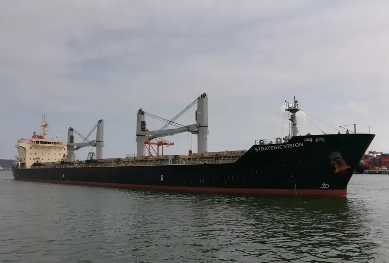STRATEGIC VISION Bulk Carrier IMO 9610640 photo 5