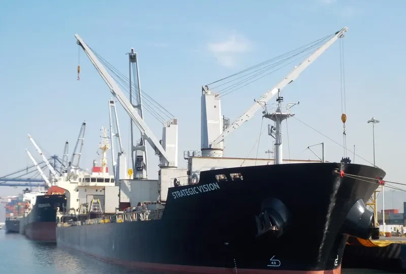 STRATEGIC VISION Bulk Carrier IMO 9610640 photo 7