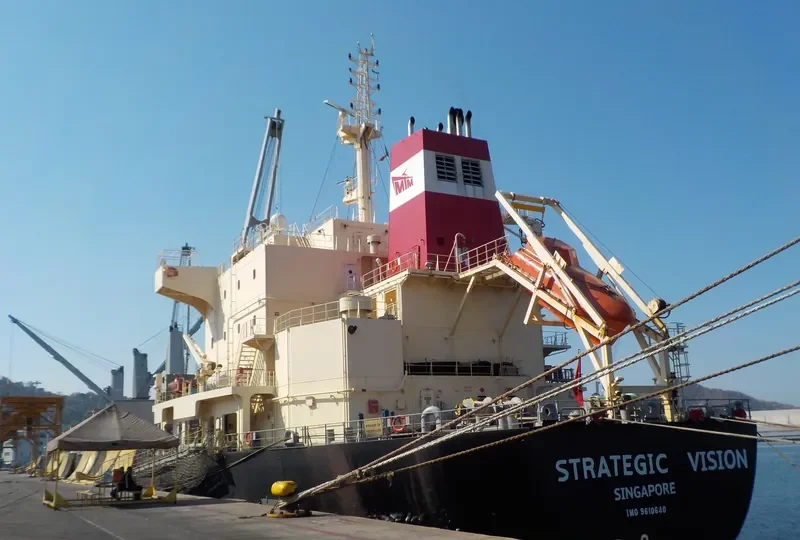 STRATEGIC VISION Bulk Carrier IMO 9610640 photo 9