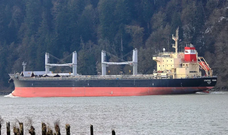 STRATEGIC VISION Bulk Carrier IMO 9610640 photo 10