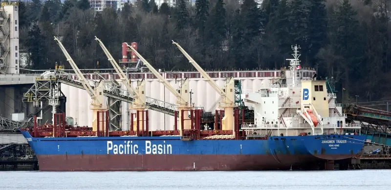 JIANGMEN TRADER Bulk Carrier IMO 9610664 photo 9