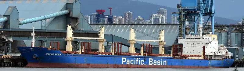JERICHO BEACH Bulk Carrier IMO 9610705 photo 2
