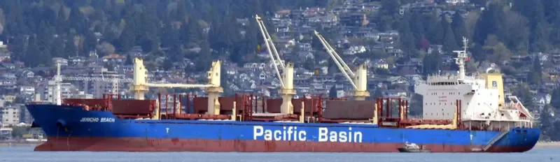 JERICHO BEACH Bulk Carrier IMO 9610705 photo 4