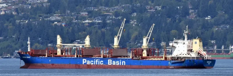 JERICHO BEACH Bulk Carrier IMO 9610705 photo 5