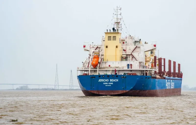JERICHO BEACH Bulk Carrier IMO 9610705 photo 10
