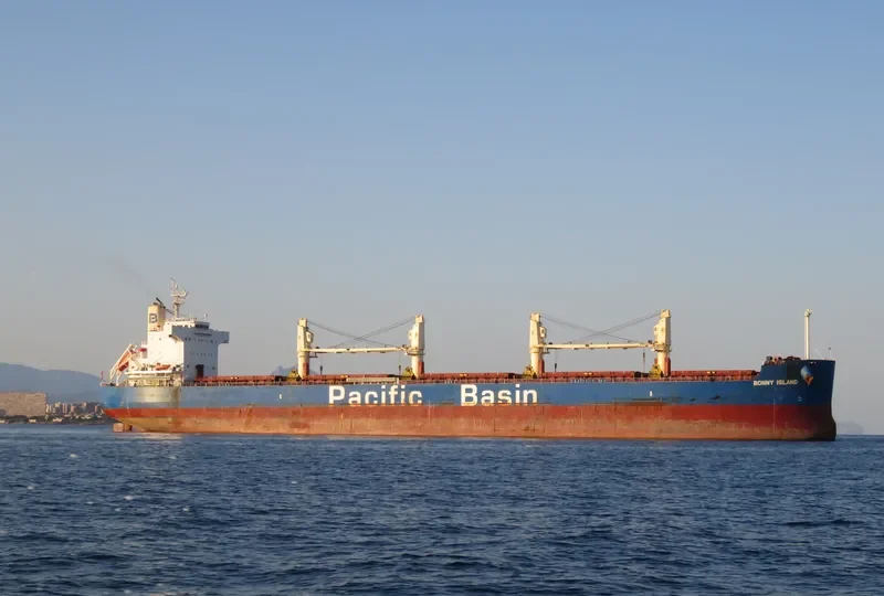 BONNY ISLAND Bulk Carrier IMO 9610731