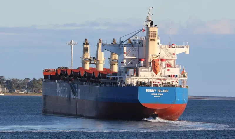 BONNY ISLAND Bulk Carrier IMO 9610731 photo 5