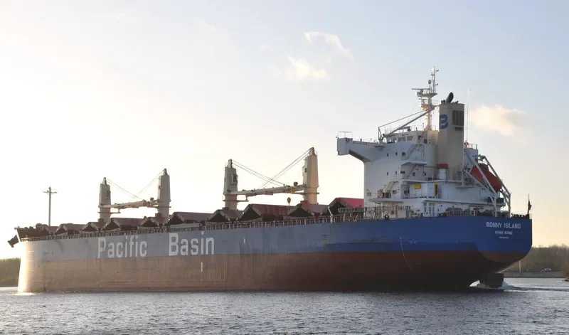 BONNY ISLAND Bulk Carrier IMO 9610731 photo 7