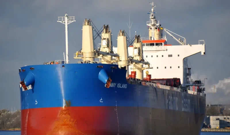 BONNY ISLAND Bulk Carrier IMO 9610731 photo 9