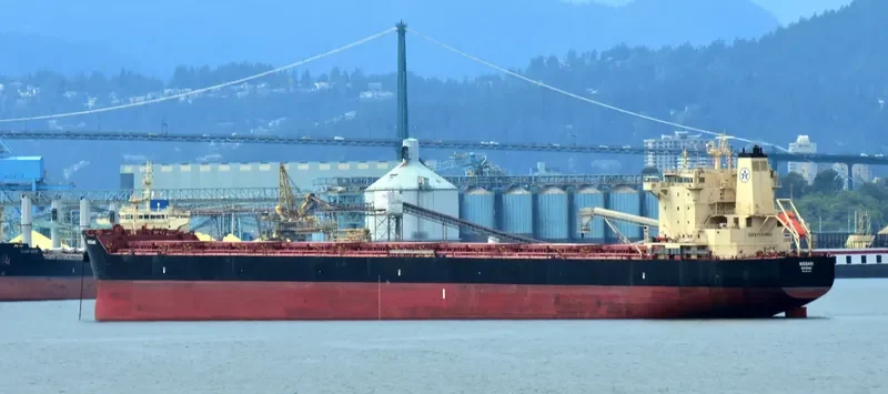 NISSAKI Bulk Carrier IMO 9611515 photo 10