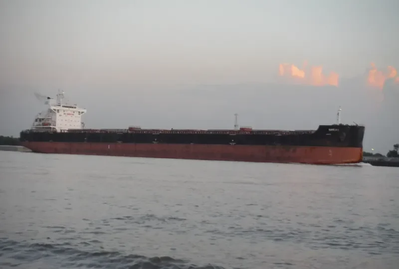 NIREAS Bulk Carrier IMO 9611905