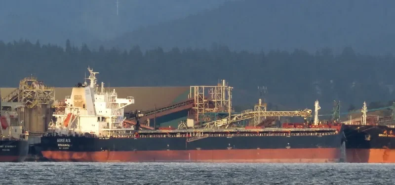 NIREAS Bulk Carrier IMO 9611905 photo 6