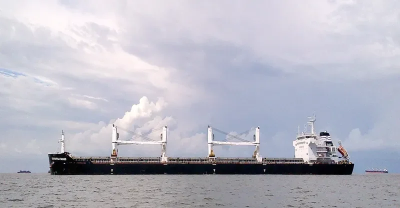 KAVO PLATANOS Bulk Carrier IMO 9612088 photo 2