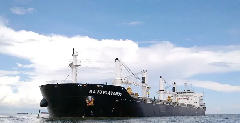 KAVO PLATANOS Bulk Carrier IMO 9612088 photo 3