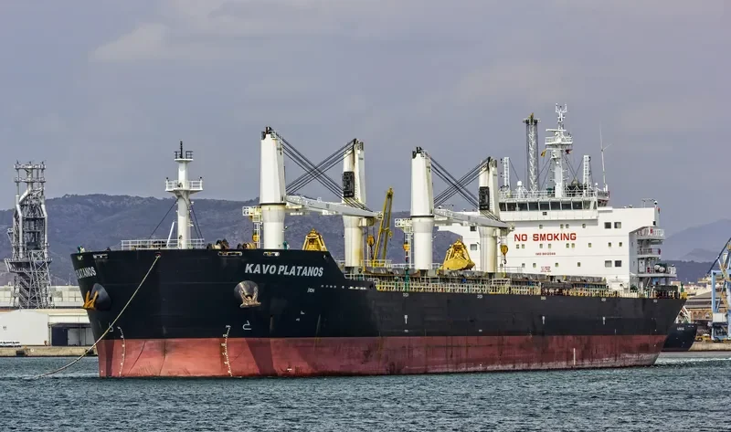 KAVO PLATANOS Bulk Carrier IMO 9612088 photo 14