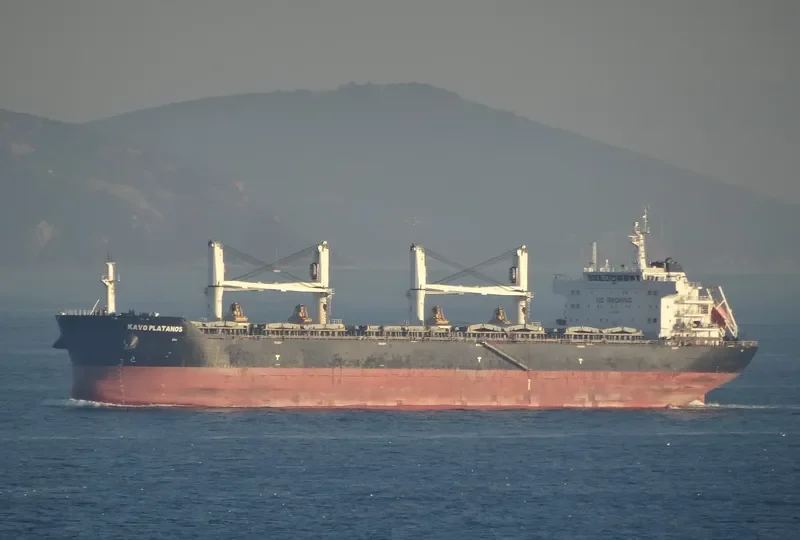 KAVO PLATANOS Bulk Carrier IMO 9612088 photo 22