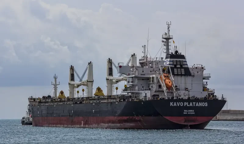 KAVO PLATANOS Bulk Carrier IMO 9612088 photo 26