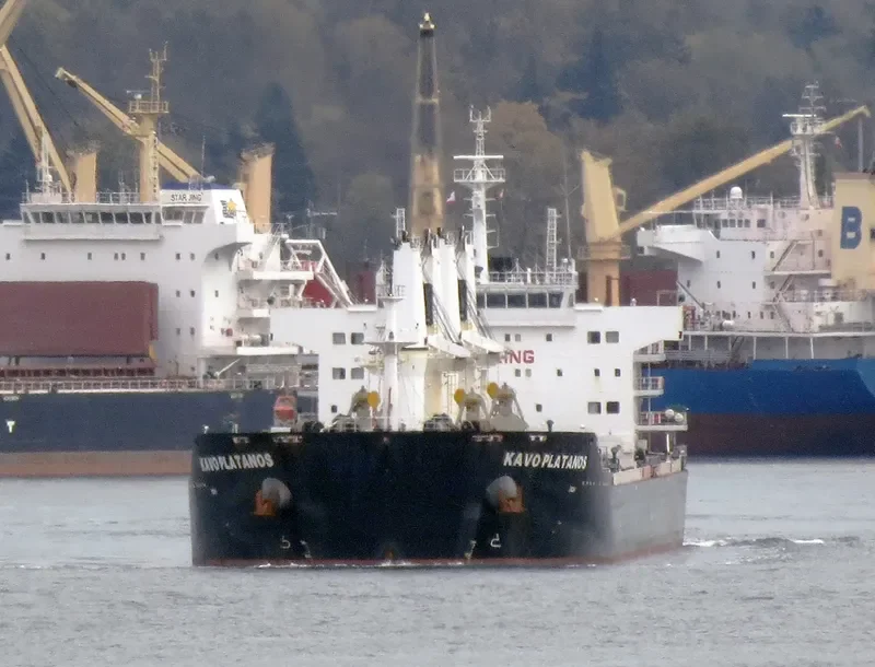 KAVO PLATANOS Bulk Carrier IMO 9612088 photo 29