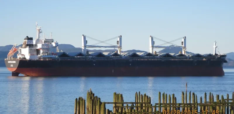 KAVO PLATANOS Bulk Carrier IMO 9612088 photo 38
