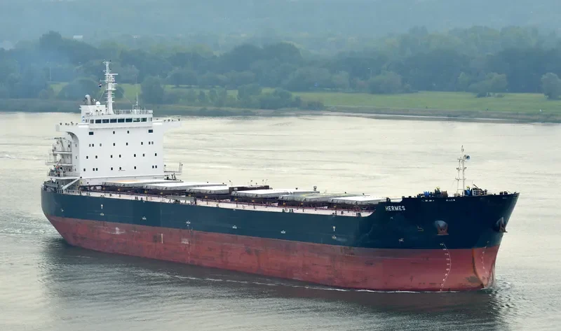 HERMES Bulk Carrier IMO 9613056 photo 5