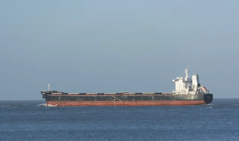 HERMES Bulk Carrier IMO 9613056 photo 10