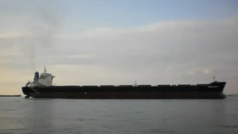 NICOLEMY Bulk Carrier IMO 9613094 photo 2
