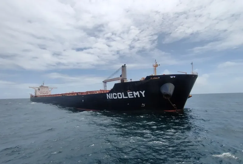NICOLEMY Bulk Carrier IMO 9613094 photo 4