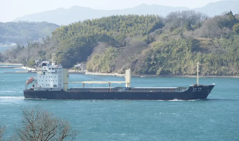 PRINCE HENRY General Cargo IMO 9614127 photo 6