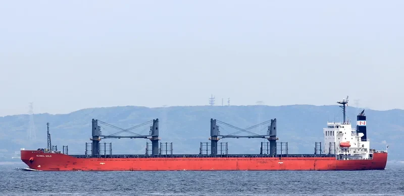 GLOBAL GOLD Bulk Carrier IMO 9614359