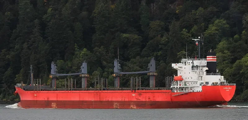 GLOBAL GOLD Bulk Carrier IMO 9614359 photo 2