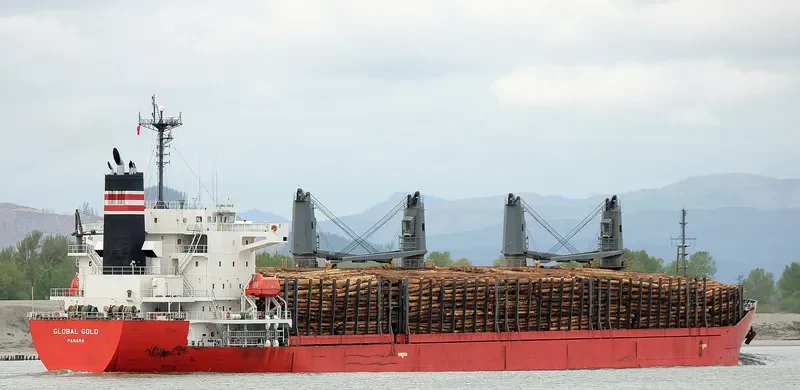 GLOBAL GOLD Bulk Carrier IMO 9614359 photo 3