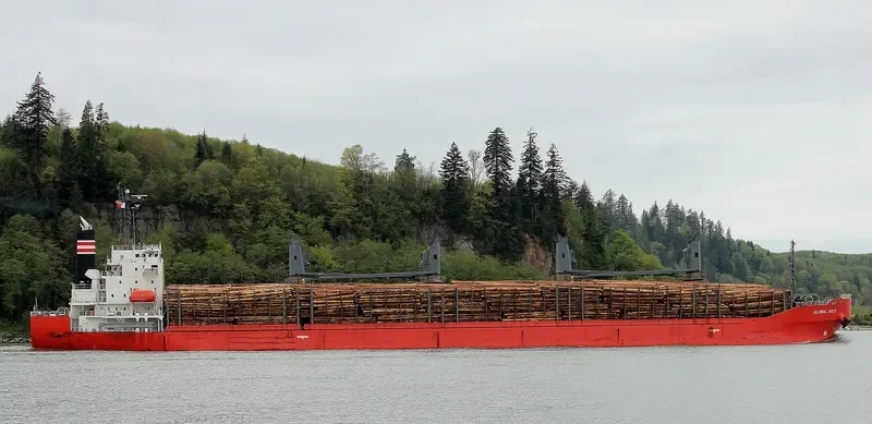 GLOBAL GOLD Bulk Carrier IMO 9614359 photo 4